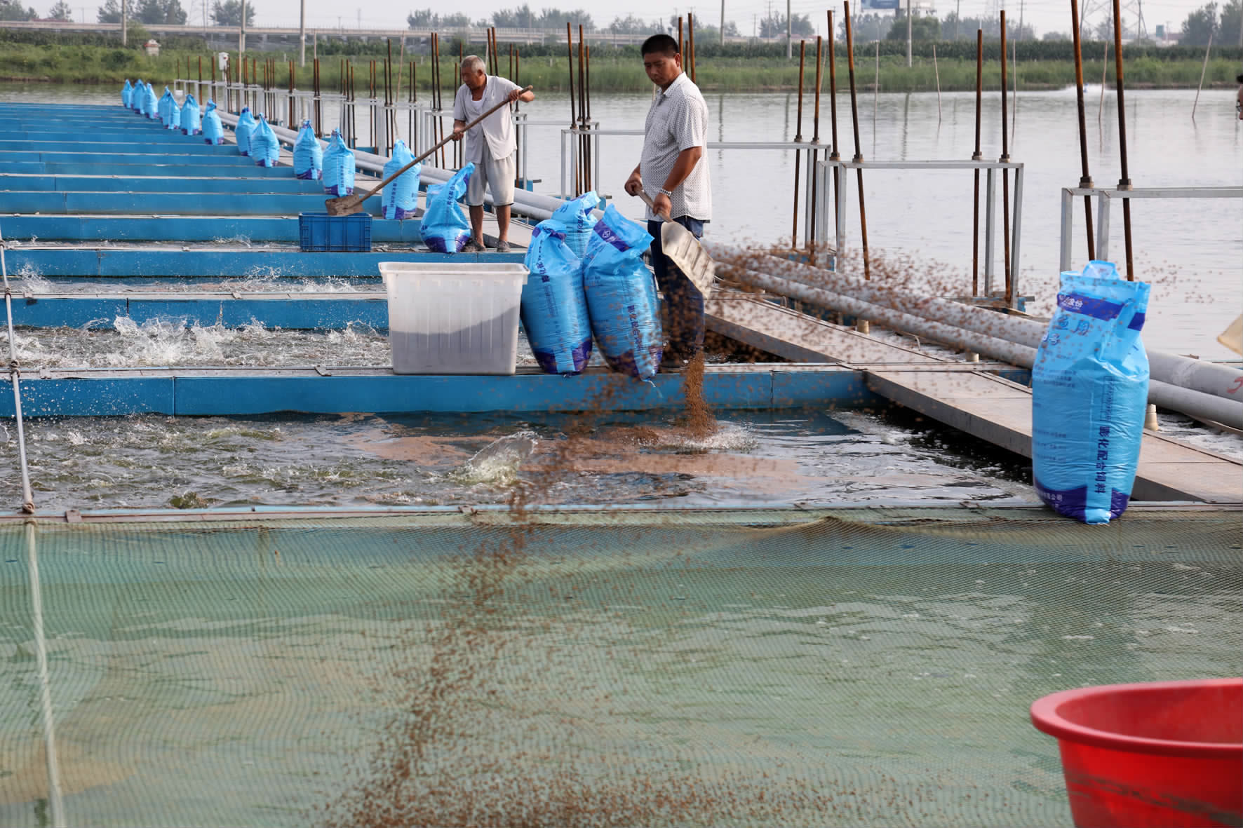 綠色引擎驅動產業升級——市農辦主任、農業農村局局長楊中校赴德清調研水產養殖業綠色發展