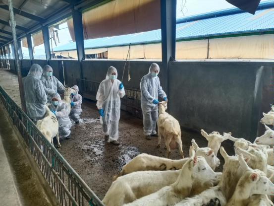 千陽縣畜產局再獲省級榮譽，產業興旺助力鄉村振興